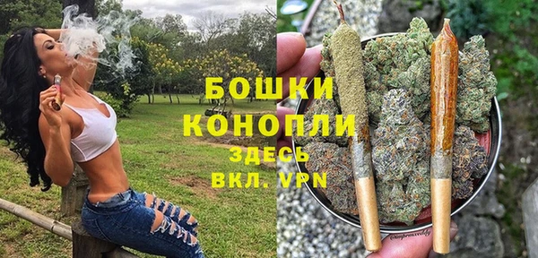 эйфоретик Покачи