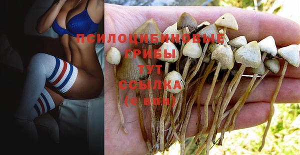 MDMA Покров