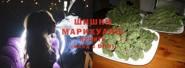 эйфоретик Покачи