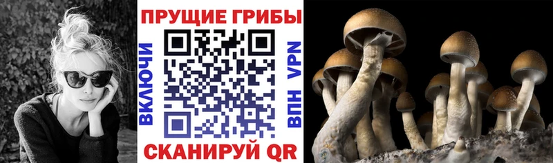 Галлюциногенные грибы мицелий  OMG ССЫЛКА  Усмань 